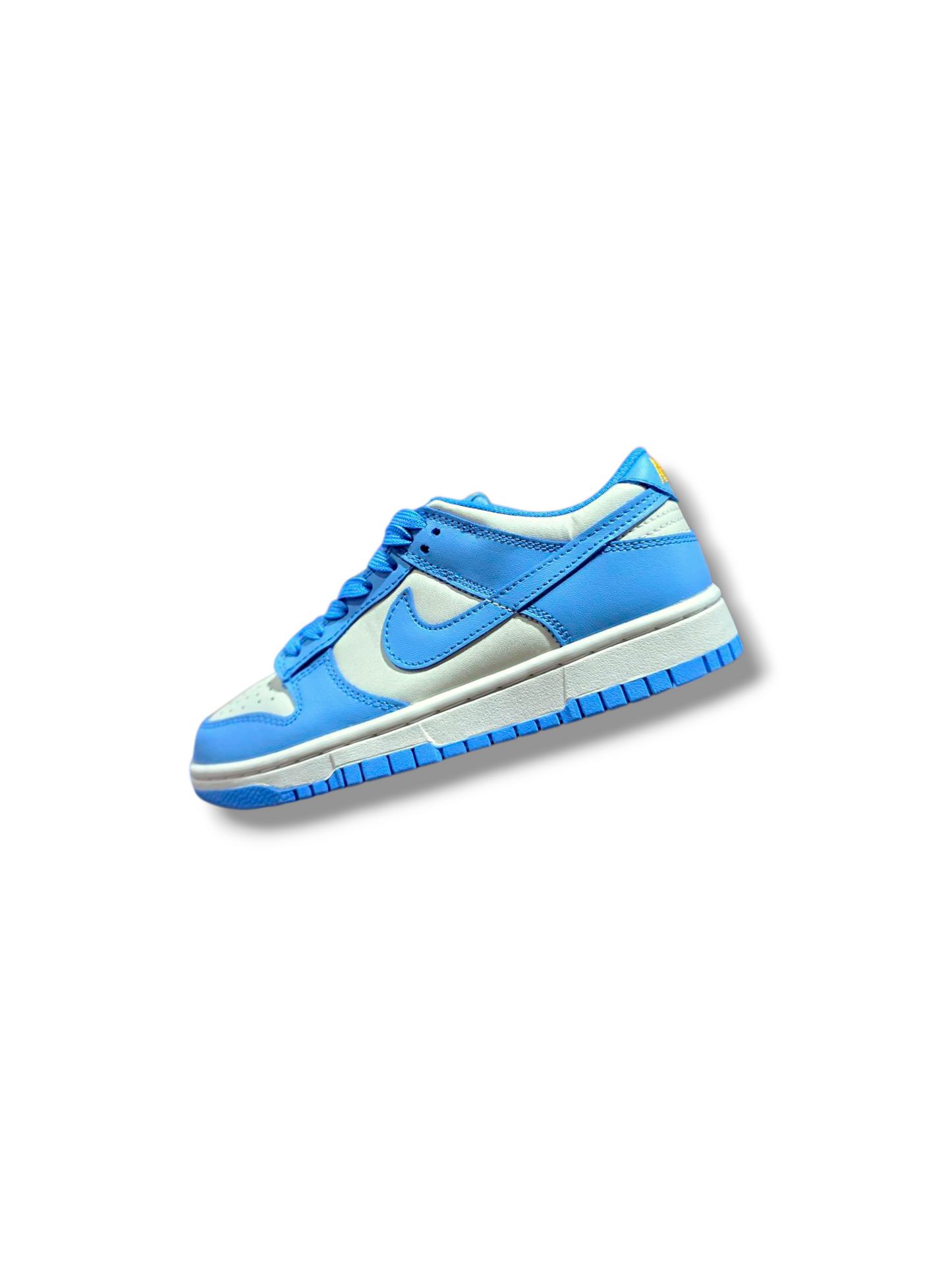 Nike SB "CAROLINA"