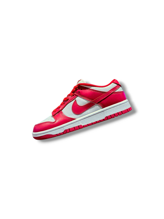 Nike SB "RED"